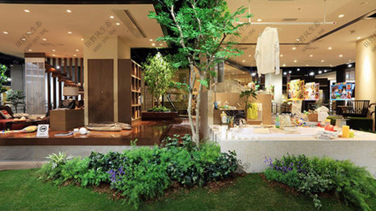 大型商場(chǎng)植物租擺,植物出租 大型商場(chǎng)植物租擺,植物出租