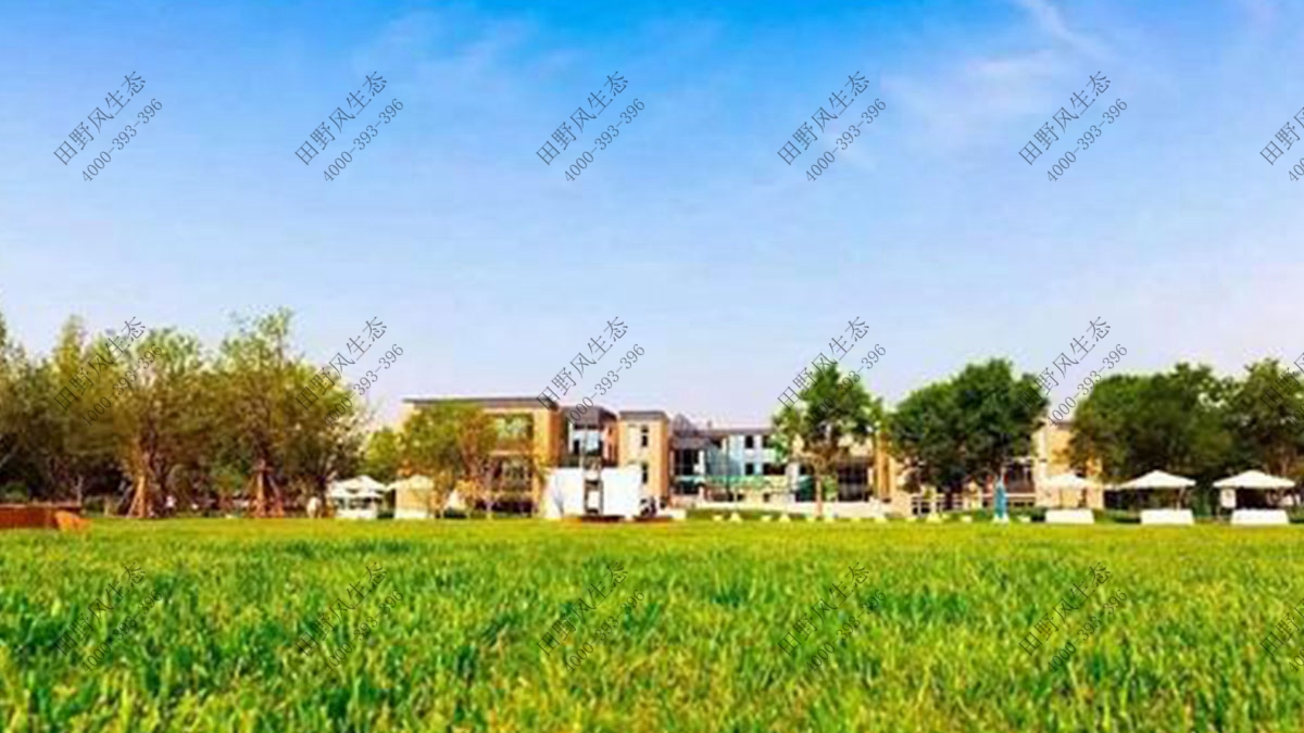 植物租擺，綠植租賃