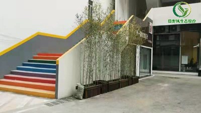 田野風(fēng)植物租賃，感謝投資開發(fā)公司客戶信賴！