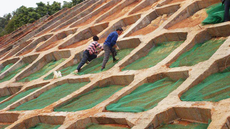 三維網(wǎng) 三維網(wǎng)