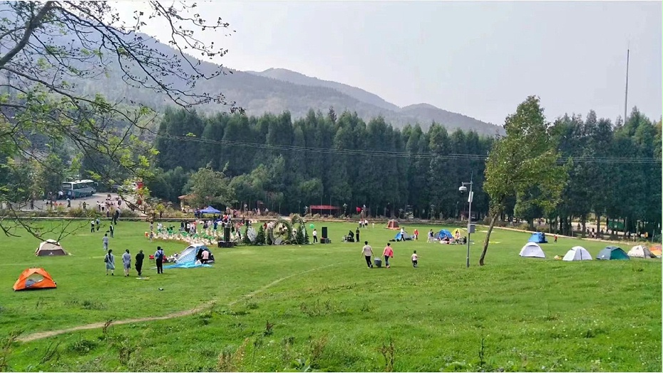 綠化草籽 綠化草籽