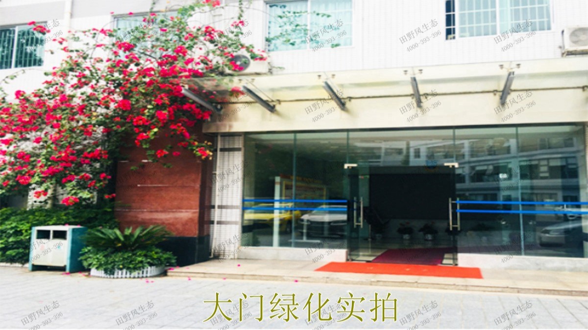 花卉植物租擺,廣東省交通運輸建設(shè)工程質(zhì)量檢測中心 花卉植物租擺,廣東省交通運輸建設(shè)工程質(zhì)量檢測中心