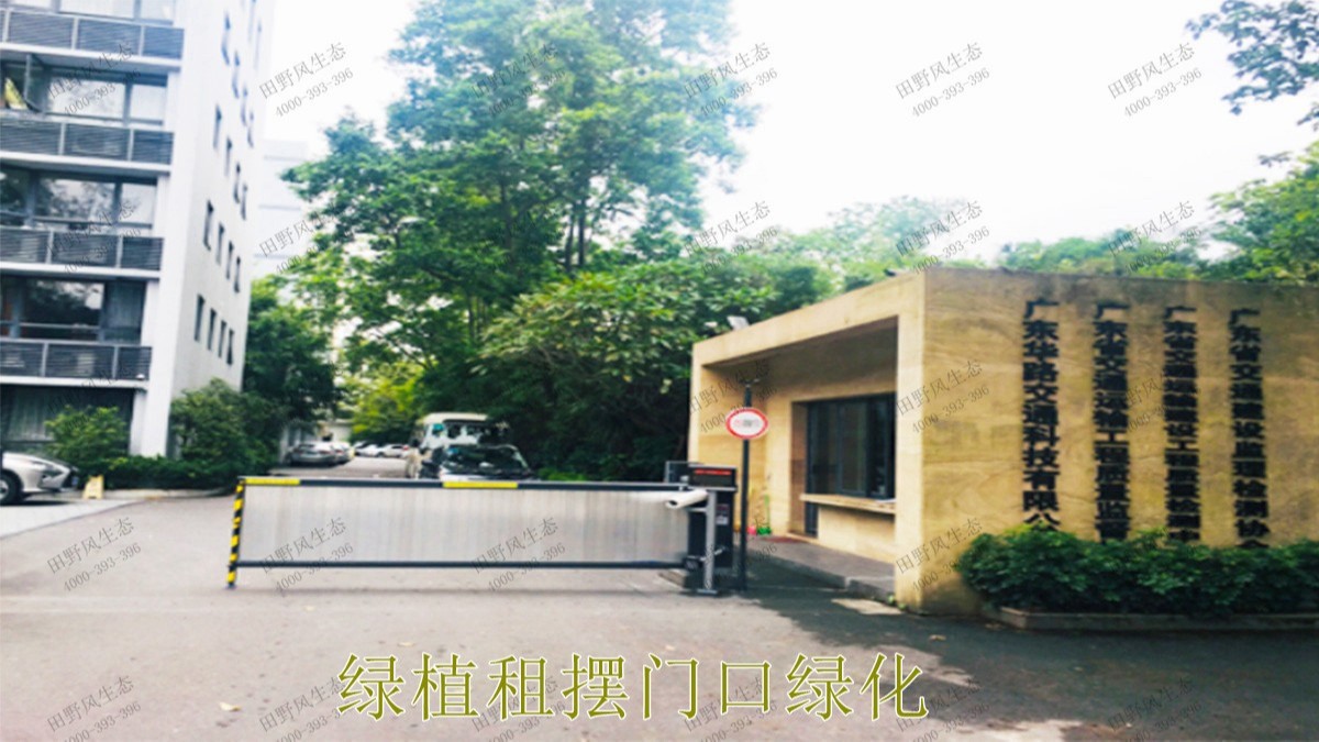 花卉植物租擺,廣東省交通運輸建設(shè)工程質(zhì)量檢測中心 花卉植物租擺,廣東省交通運輸建設(shè)工程質(zhì)量檢測中心
