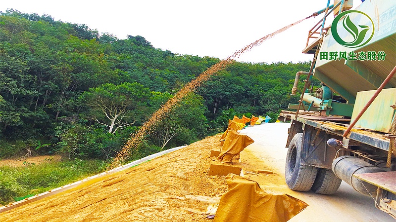 客土噴播，邊坡植草