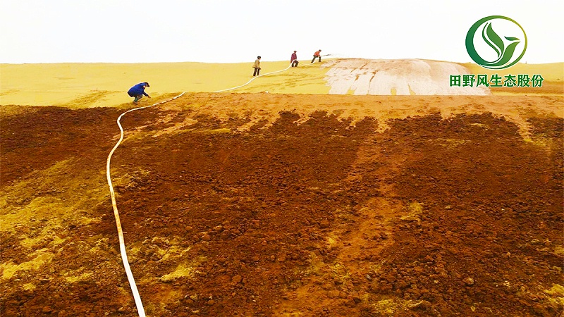 客土噴播，邊坡植草