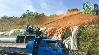 客土噴播的主要原理是什么？