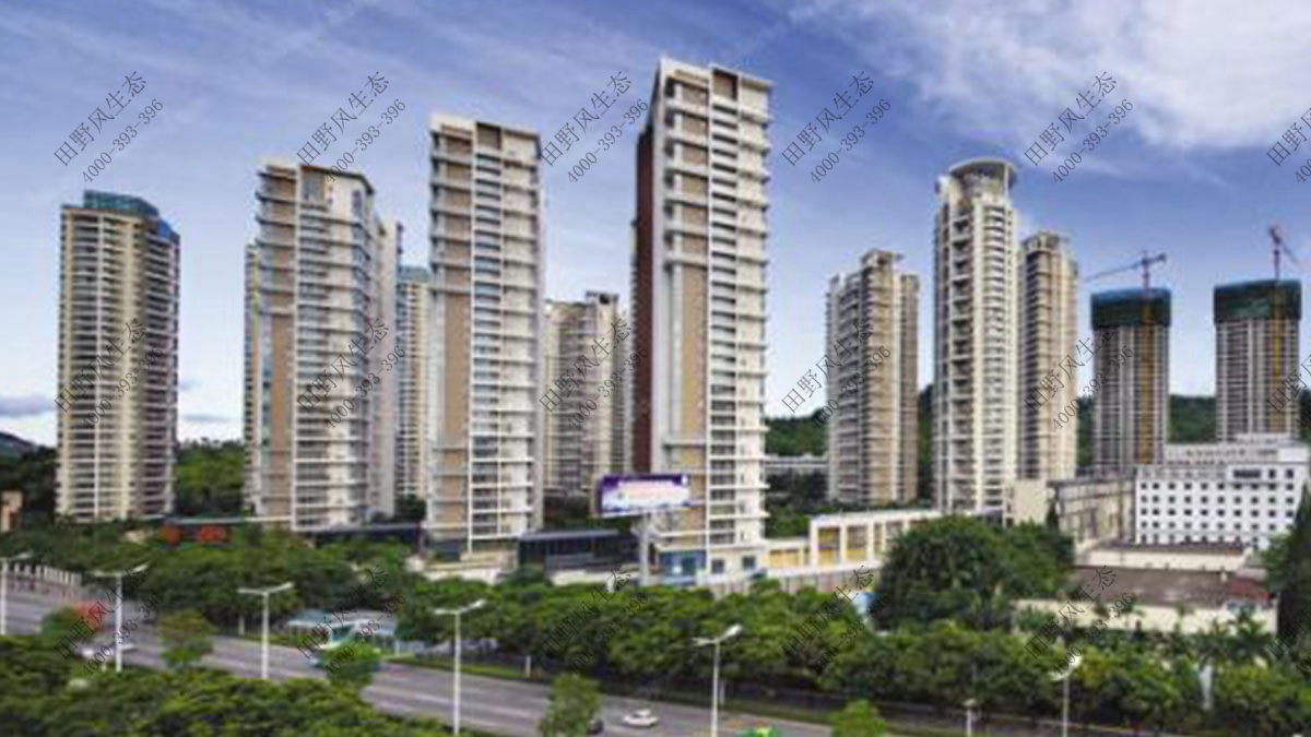 售樓中心綠化養(yǎng)護 售樓中心綠化養(yǎng)護