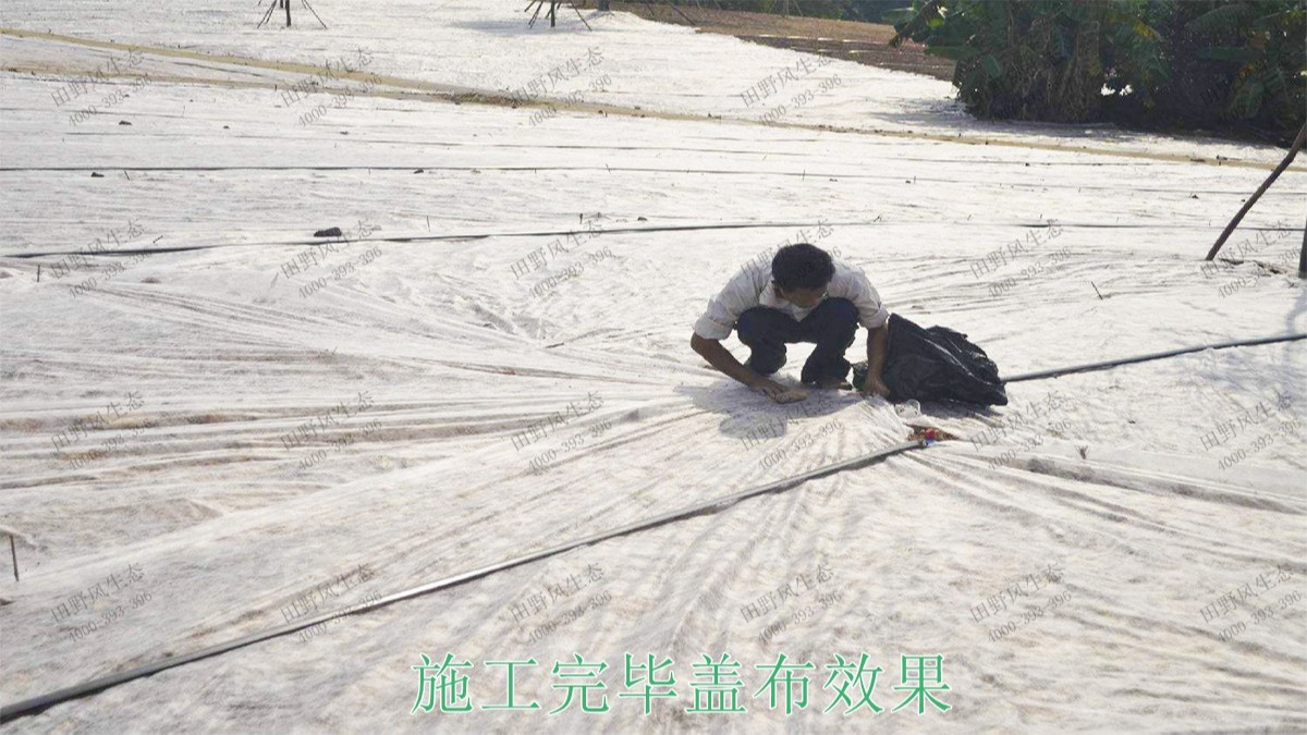 清城區(qū)銀盞河道生態(tài)治理工程 清城區(qū)銀盞河道生態(tài)治理工程