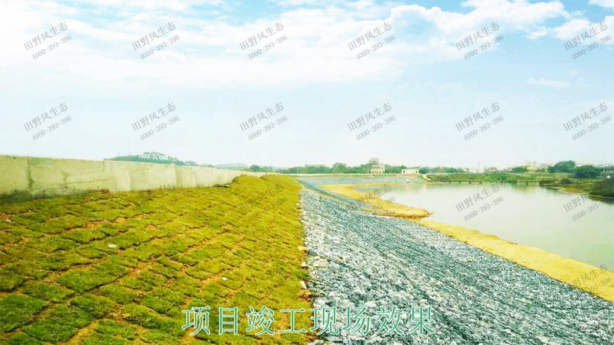 清城區(qū)銀盞河道生態(tài)治理工程 清城區(qū)銀盞河道生態(tài)治理工程