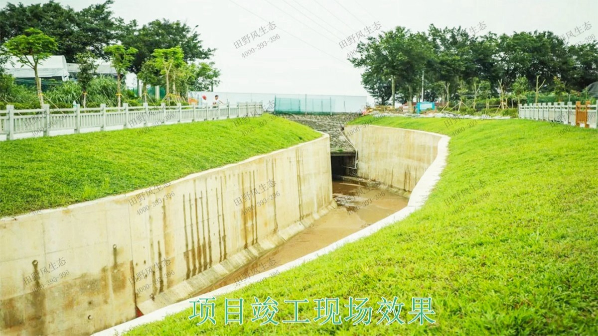 廣寧縣和漫水河道湖泊護坡綠化 廣寧縣和漫水河道湖泊護坡綠化