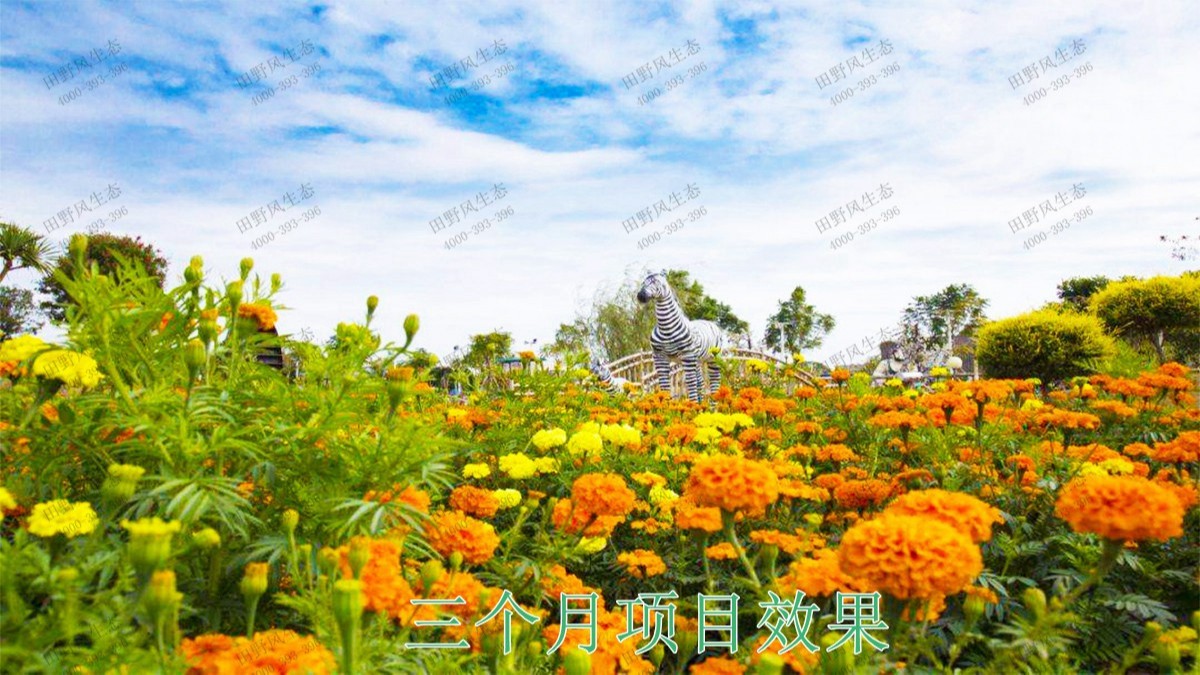 河北百花谷休閑綜合體項目 河北百花谷休閑綜合體項目