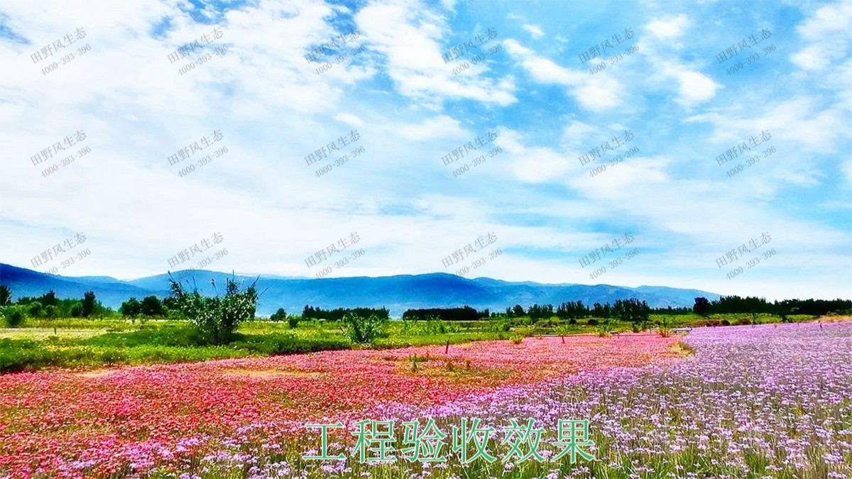 廣西五彩田園休閑農(nóng)業(yè)生態(tài)園 廣西五彩田園休閑農(nóng)業(yè)生態(tài)園