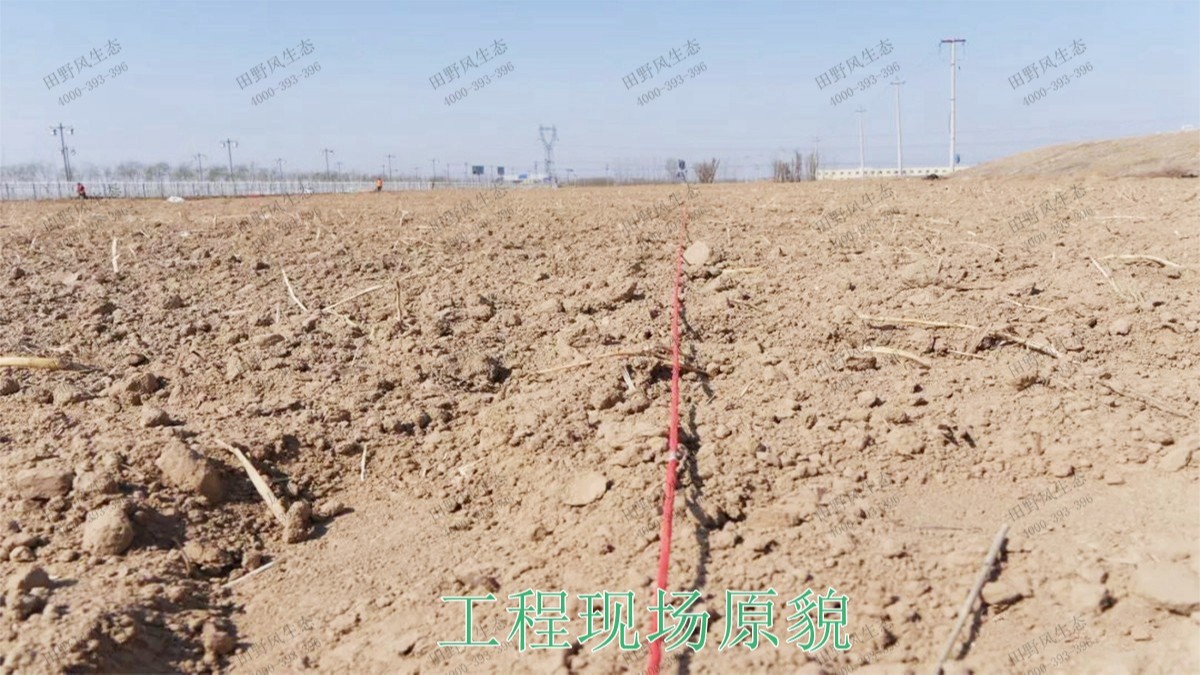 廣西五彩田園休閑農(nóng)業(yè)生態(tài)園 廣西五彩田園休閑農(nóng)業(yè)生態(tài)園