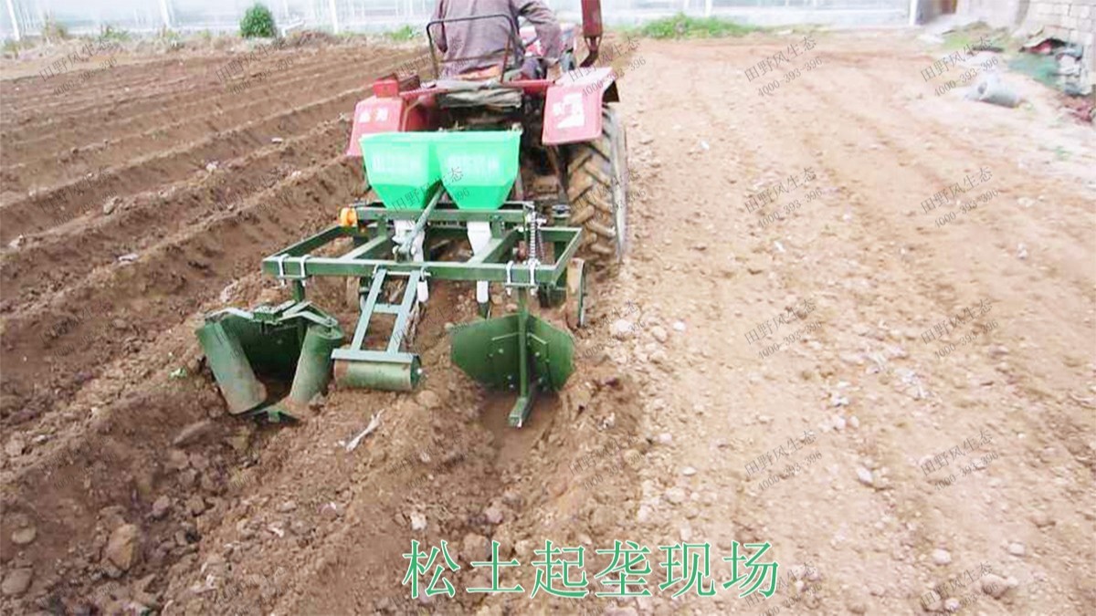 廣西五彩田園休閑農(nóng)業(yè)生態(tài)園 廣西五彩田園休閑農(nóng)業(yè)生態(tài)園