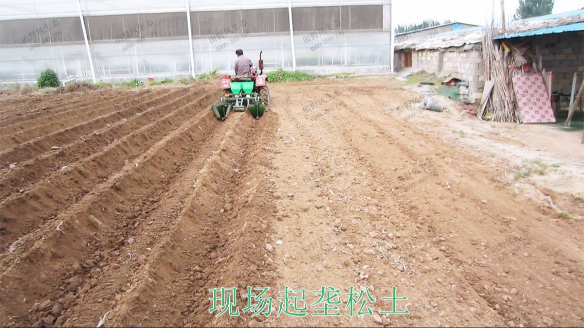 江夏區(qū)舒安未來家園休閑農(nóng)業(yè)規(guī)劃設(shè)計(jì) 江夏區(qū)舒安未來家園休閑農(nóng)業(yè)規(guī)劃設(shè)計(jì)