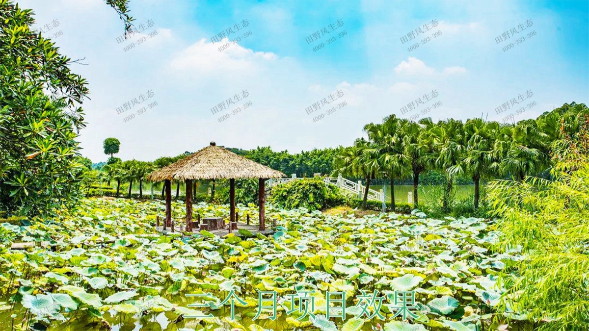 三水僑鑫生態(tài)園綜合體項(xiàng)目 三水僑鑫生態(tài)園綜合體項(xiàng)目