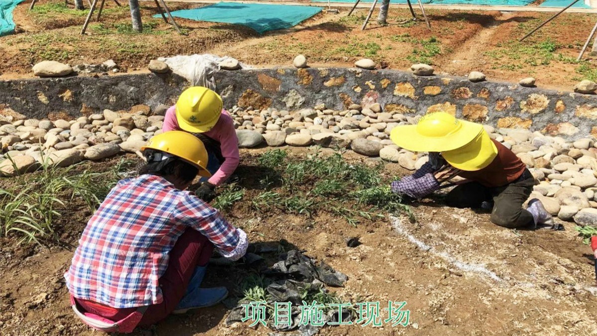 廣西百色市景區(qū)花海種植 廣西百色市景區(qū)花海種植