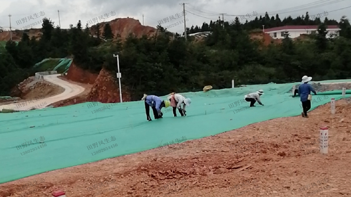 蓋無紡布 蓋無紡布