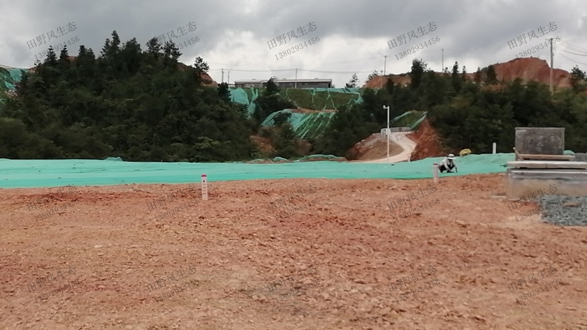 施工實況 施工實況