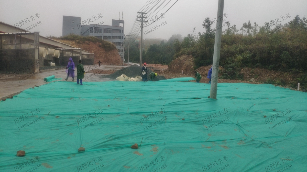 邊坡復綠 邊坡復綠