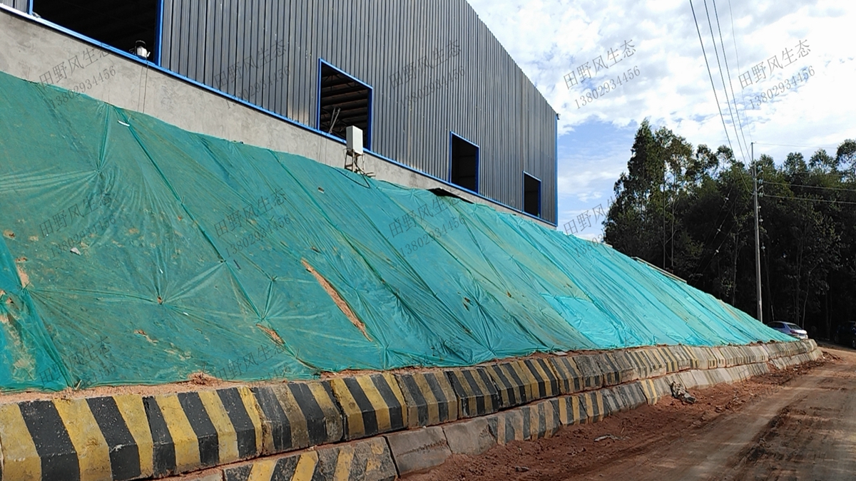 邊坡復綠 邊坡復綠