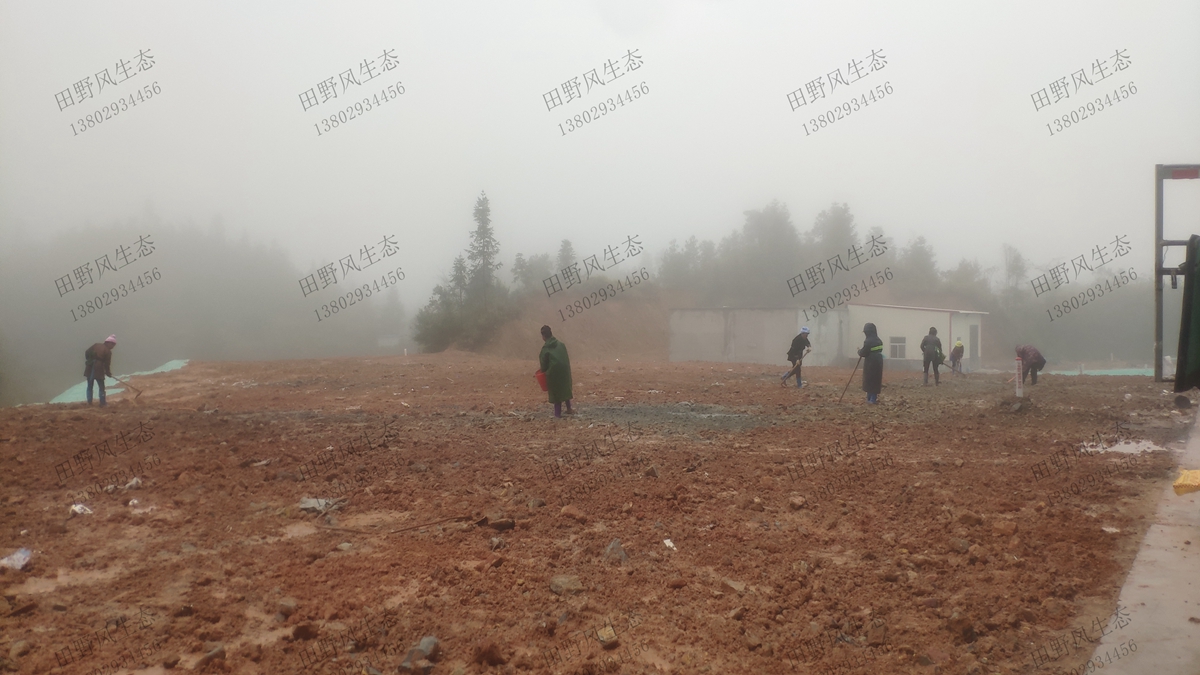 邊坡復綠 邊坡復綠