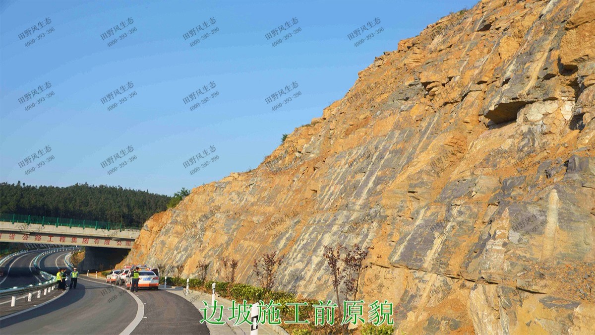 汕湛高建揭博段高速公路邊坡復(fù)綠 汕湛高建揭博段高速公路邊坡復(fù)綠