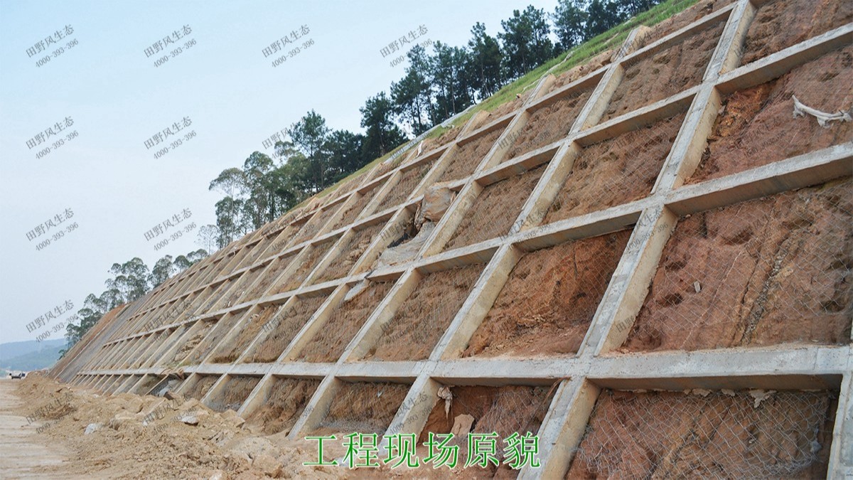 汕湛高建揭博段高速公路邊坡復(fù)綠 汕湛高建揭博段高速公路邊坡復(fù)綠