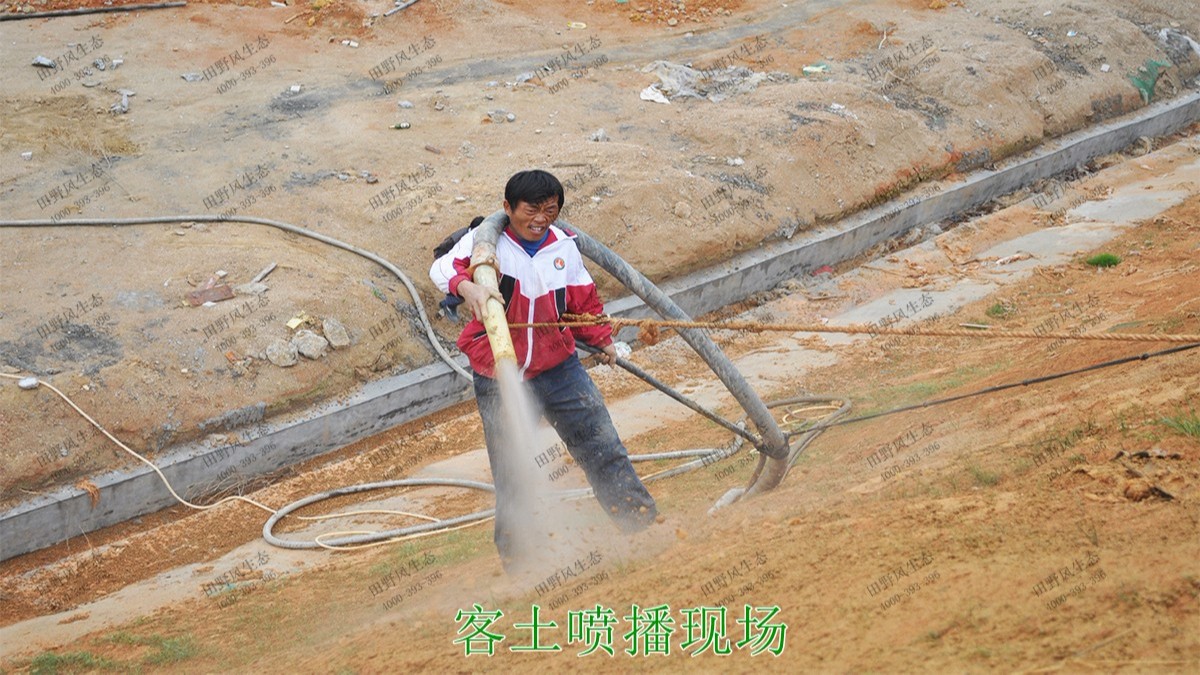 汕湛高建揭博段高速公路邊坡復(fù)綠 汕湛高建揭博段高速公路邊坡復(fù)綠