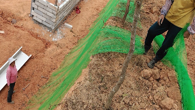 邊坡復(fù)綠施工現(xiàn)場 邊坡復(fù)綠施工現(xiàn)場