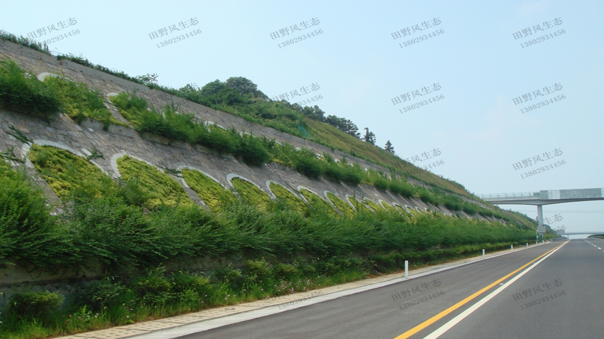邊坡綠化 邊坡綠化