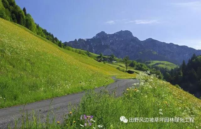 微信圖片_20200617085800 微信圖片_20200617085800