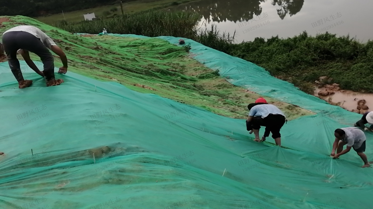 邊坡蓋無(wú)紡布 邊坡蓋無(wú)紡布