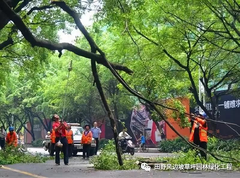 微信圖片_20200528110648 微信圖片_20200528110648