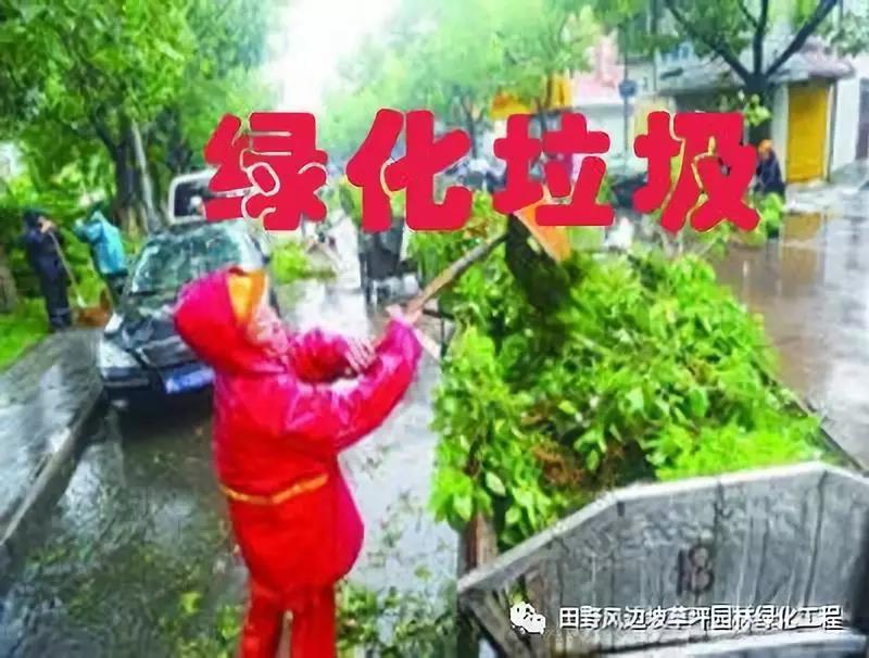 微信圖片_20200528110652 微信圖片_20200528110652