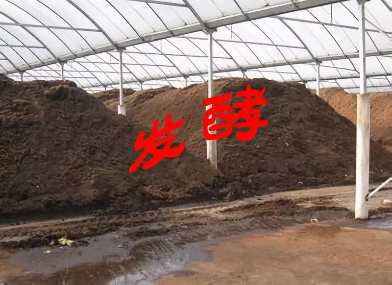 微信圖片_20200528110703 微信圖片_20200528110703