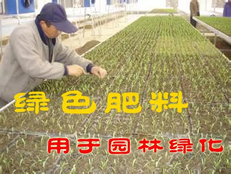 微信圖片_20200528110709 微信圖片_20200528110709