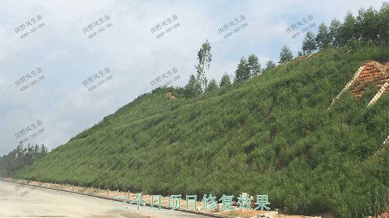 7三個月項目修復(fù)效果 7三個月項目修復(fù)效果