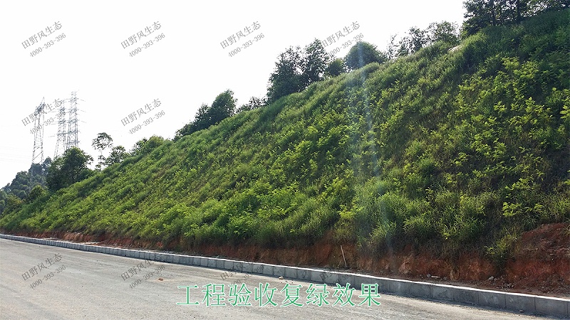 1工程驗收復(fù)綠效果 1工程驗收復(fù)綠效果