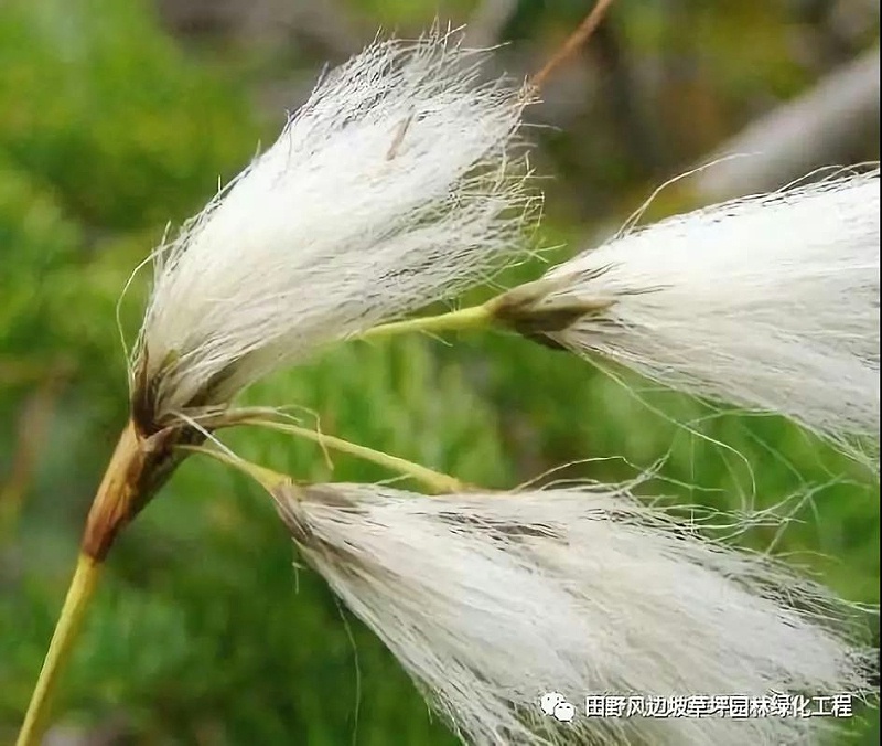 微信圖片_20200601112539 微信圖片_20200601112539