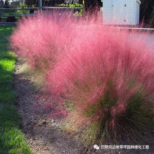 微信圖片_20200601112604 微信圖片_20200601112604