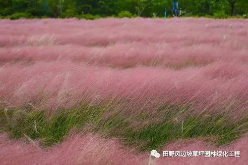 微信圖片_20200601112608 微信圖片_20200601112608