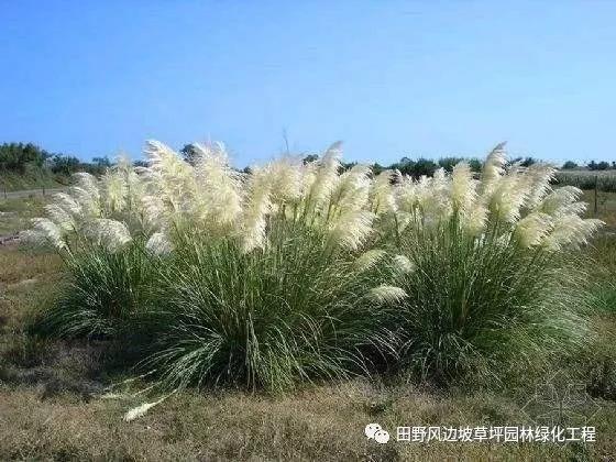 微信圖片_20200601112503 微信圖片_20200601112503