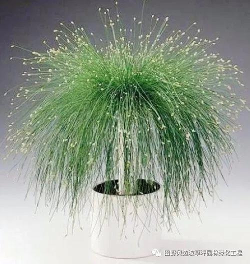 微信圖片_20200601112511 微信圖片_20200601112511