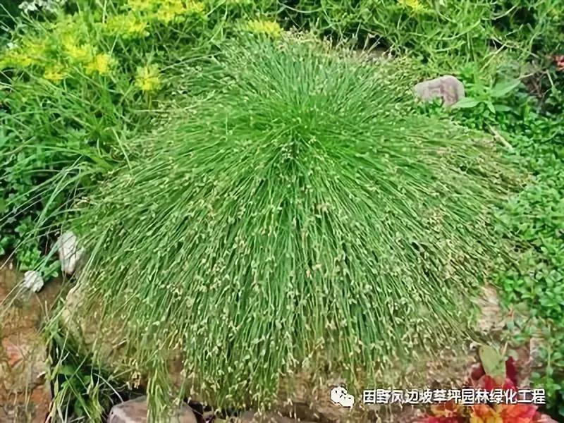 微信圖片_20200601112515 微信圖片_20200601112515