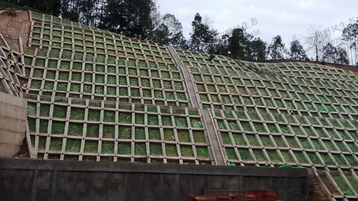 掛三維效果 掛三維效果