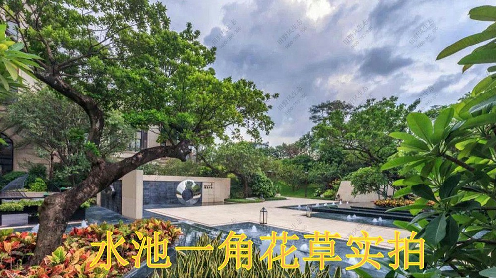 廣州華發(fā)售樓中心綠植花卉租擺案例 廣州華發(fā)售樓中心綠植花卉租擺案例