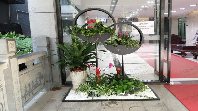 廣州創(chuàng)境匯盈科智谷植物租擺 廣州創(chuàng)境匯盈科智谷植物租擺