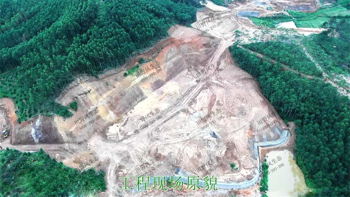 潮惠高速揭陽(yáng)段高速公路邊坡植草 潮惠高速揭陽(yáng)段高速公路邊坡植草