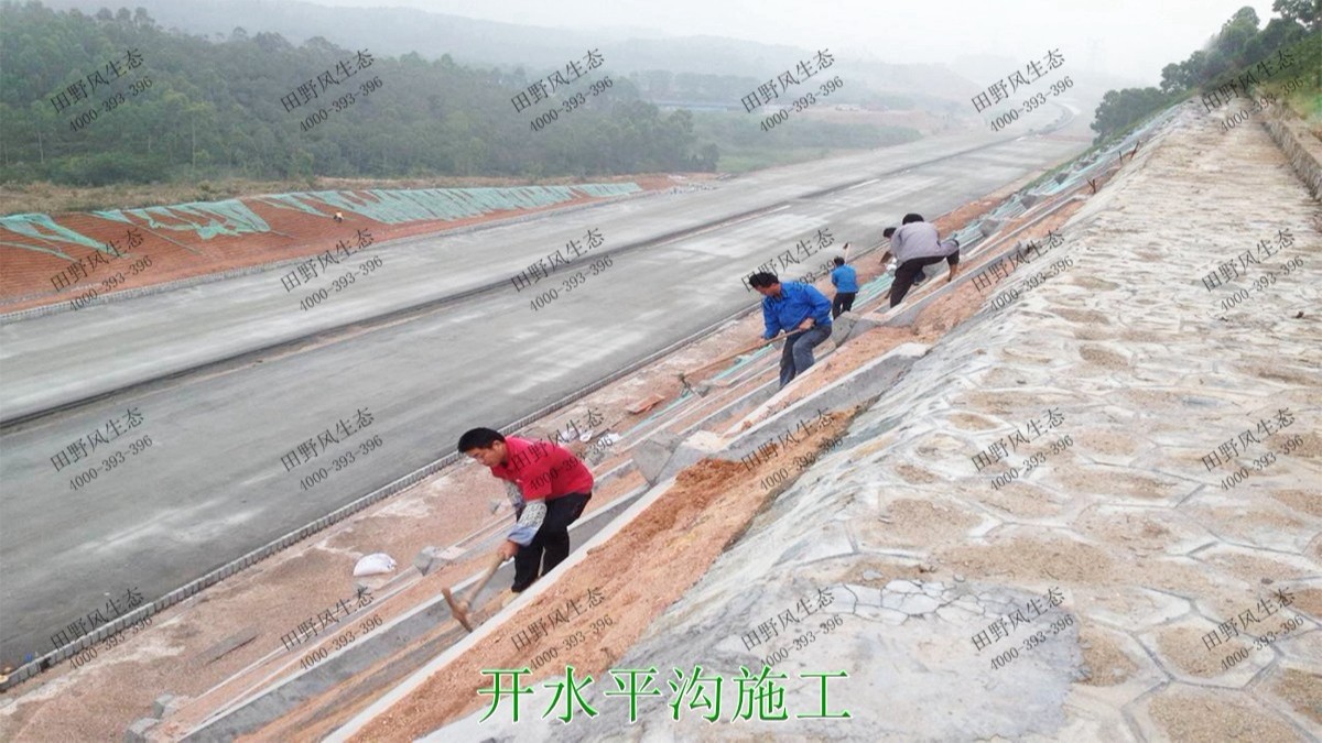 潮惠高速揭陽(yáng)段高速公路邊坡植草 潮惠高速揭陽(yáng)段高速公路邊坡植草